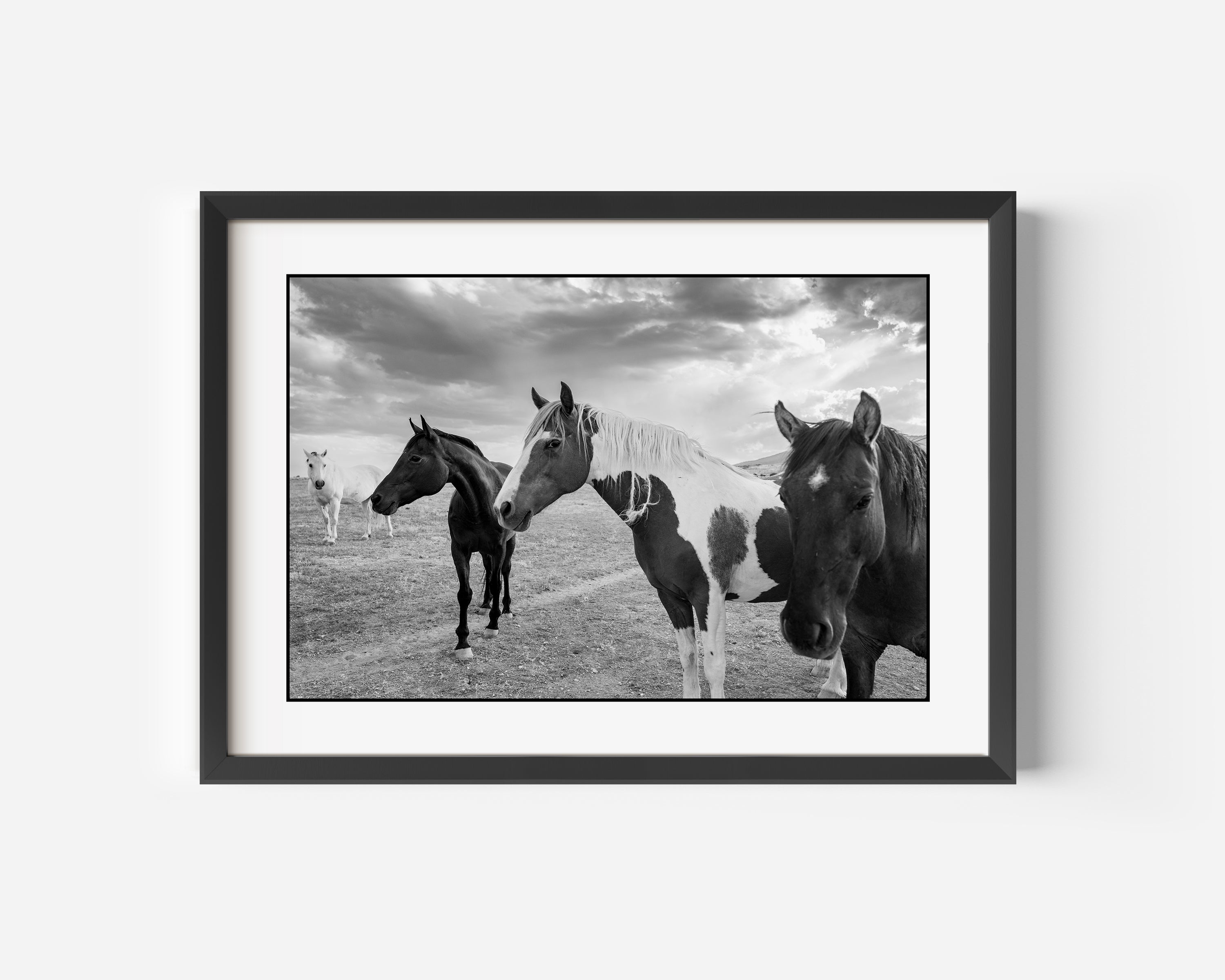 Equestrian Fine Art Black and White Photography Print of The American West. Four Horses in The Central Nevada Desert, USA