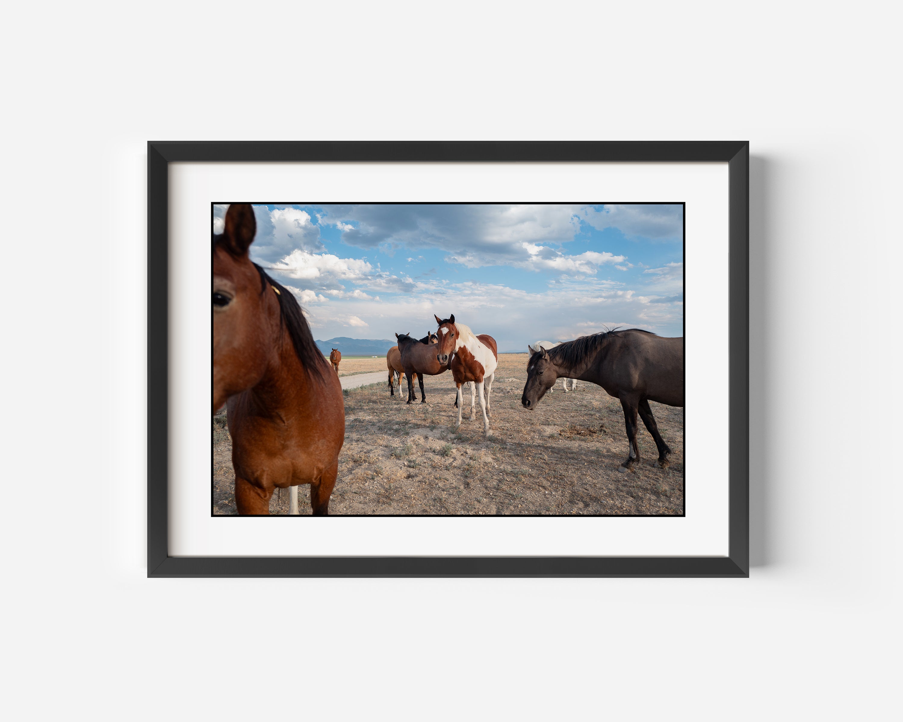 Equestrian Fine Art Color Photography Print in Central Nevada USA