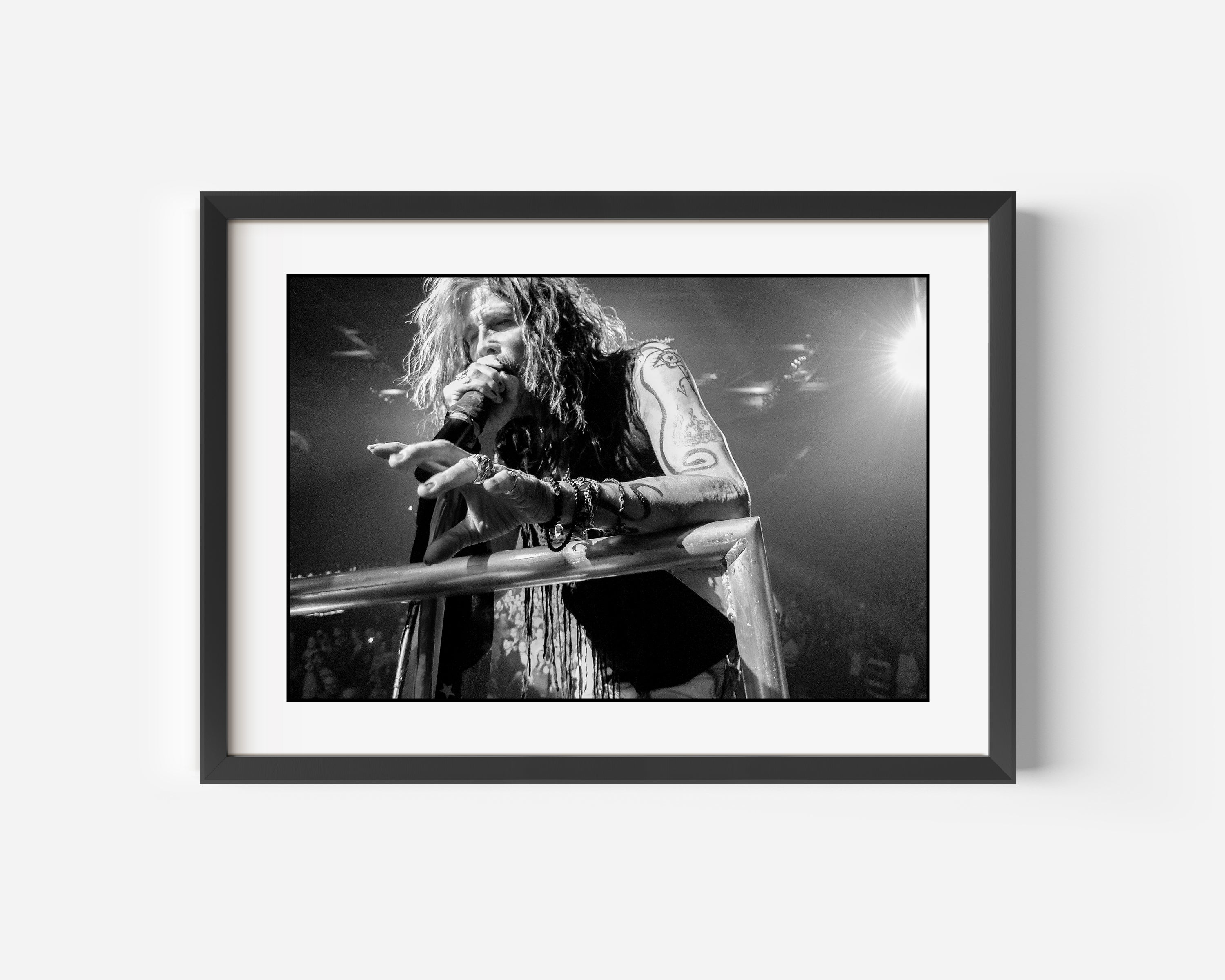 Steven Tyler, Aerosmith - Evansville, IN 2015