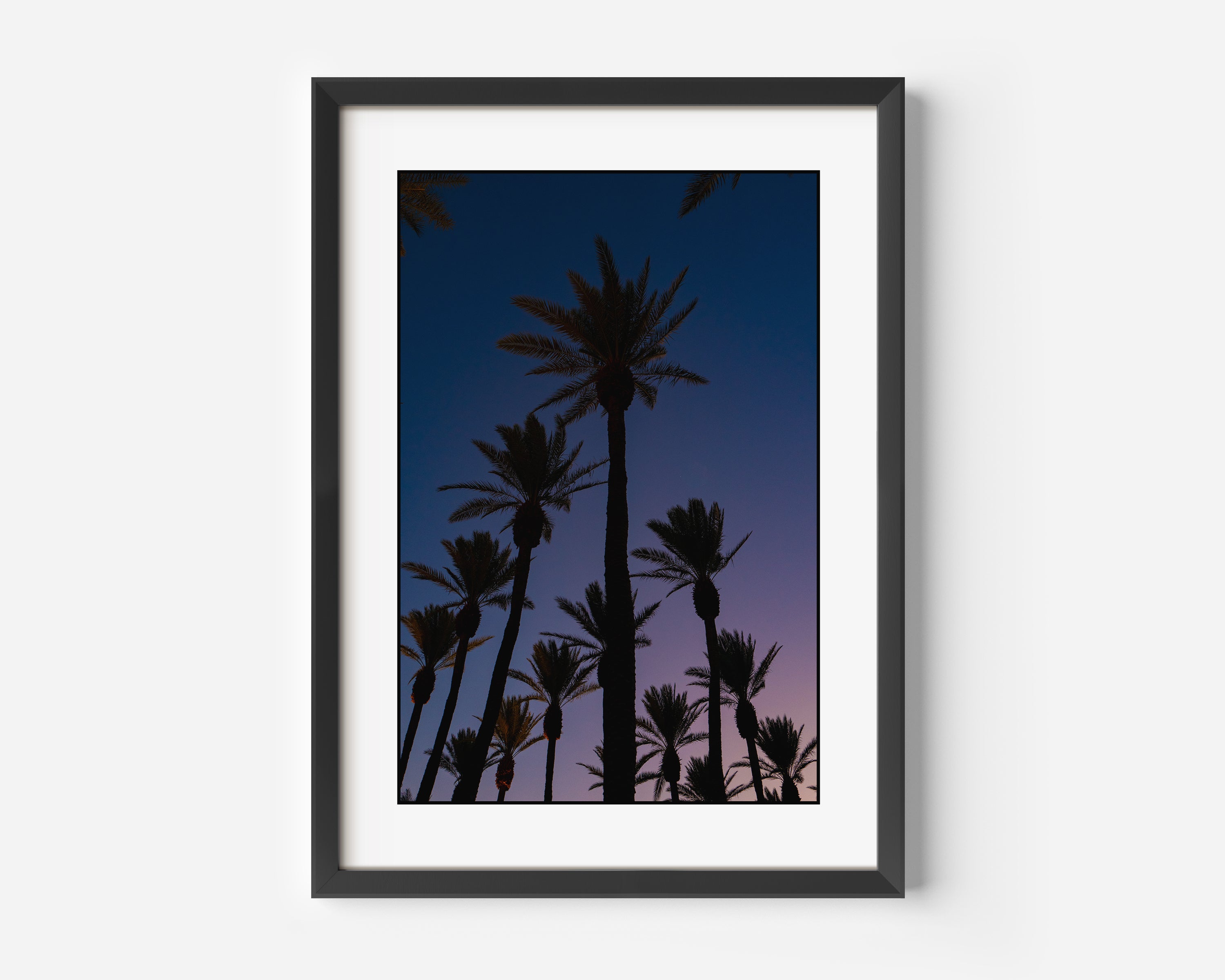 Palm Grove at Dusk Fine Art Color Photography Print in Palm Desert, California USA