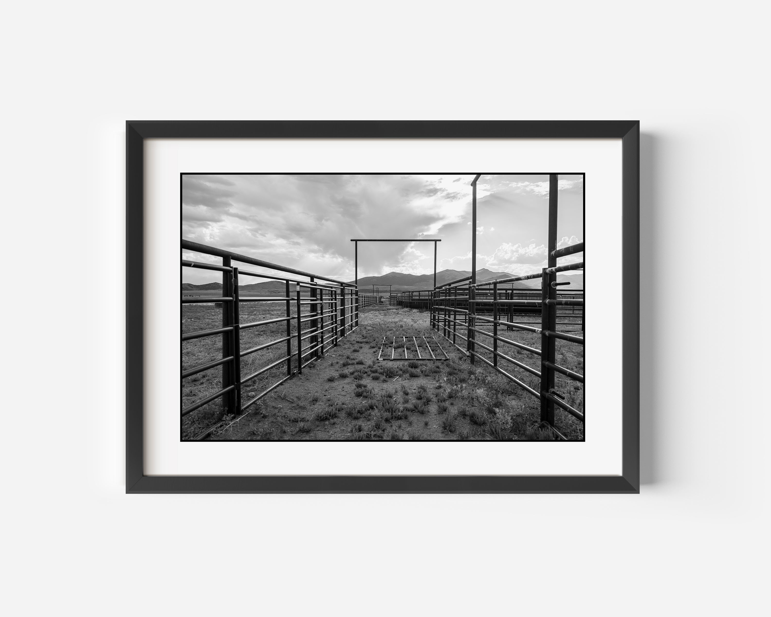 'Line 'Em Up'- Western Nevada 2024