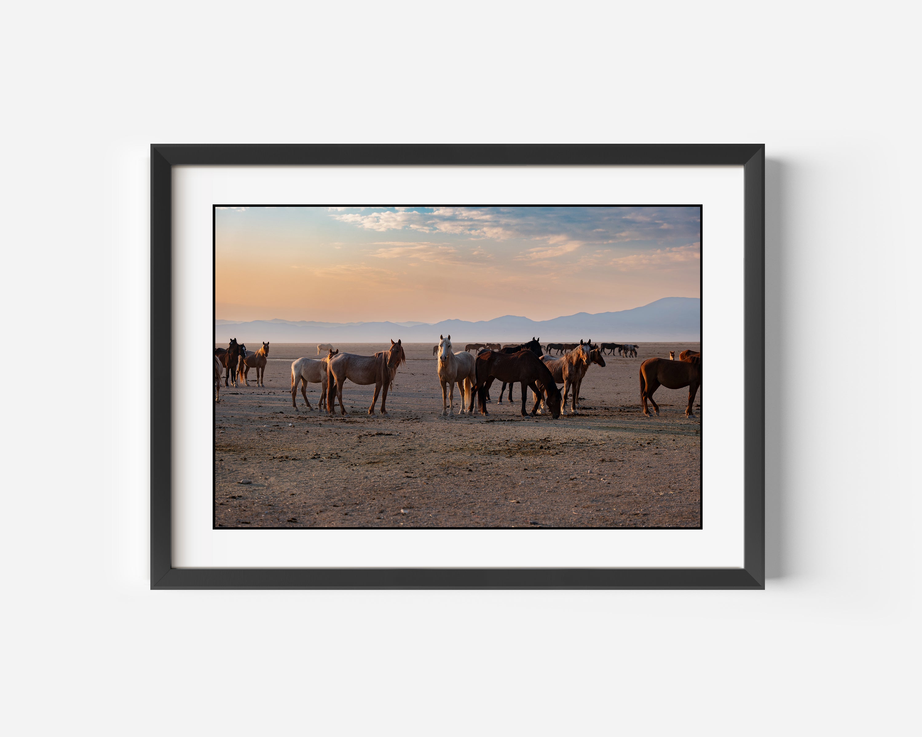 Wild Mustangs At Dawn Fine Art Color Photography Print in the Nevada Desert