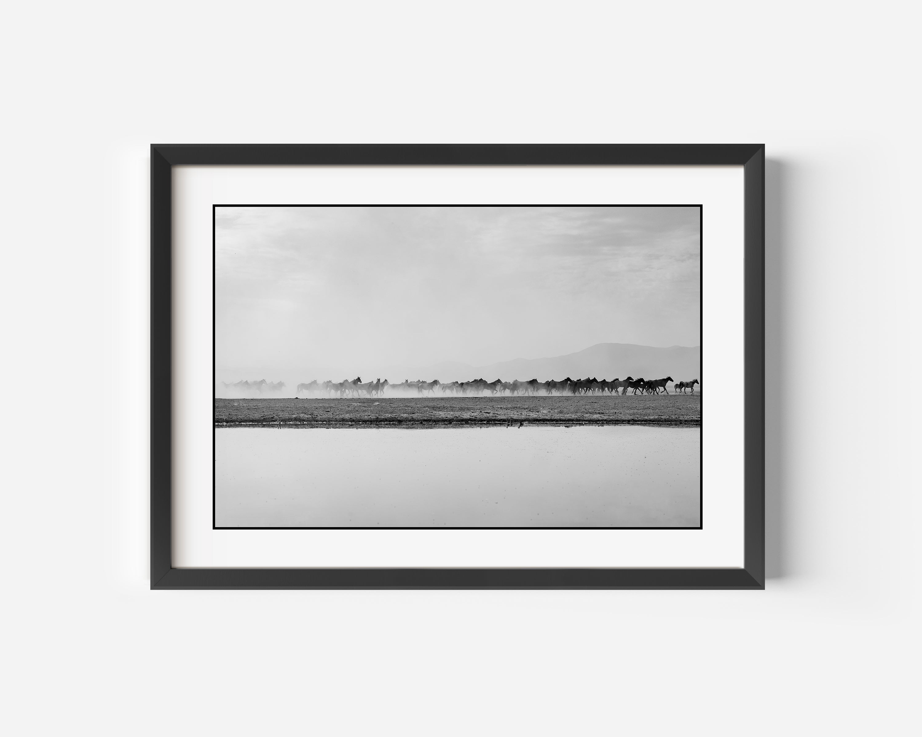 Feral Mustangs Fine Art Black and White Photography Print. Wild Horses trek across the open desert in Western Nevada, USA
