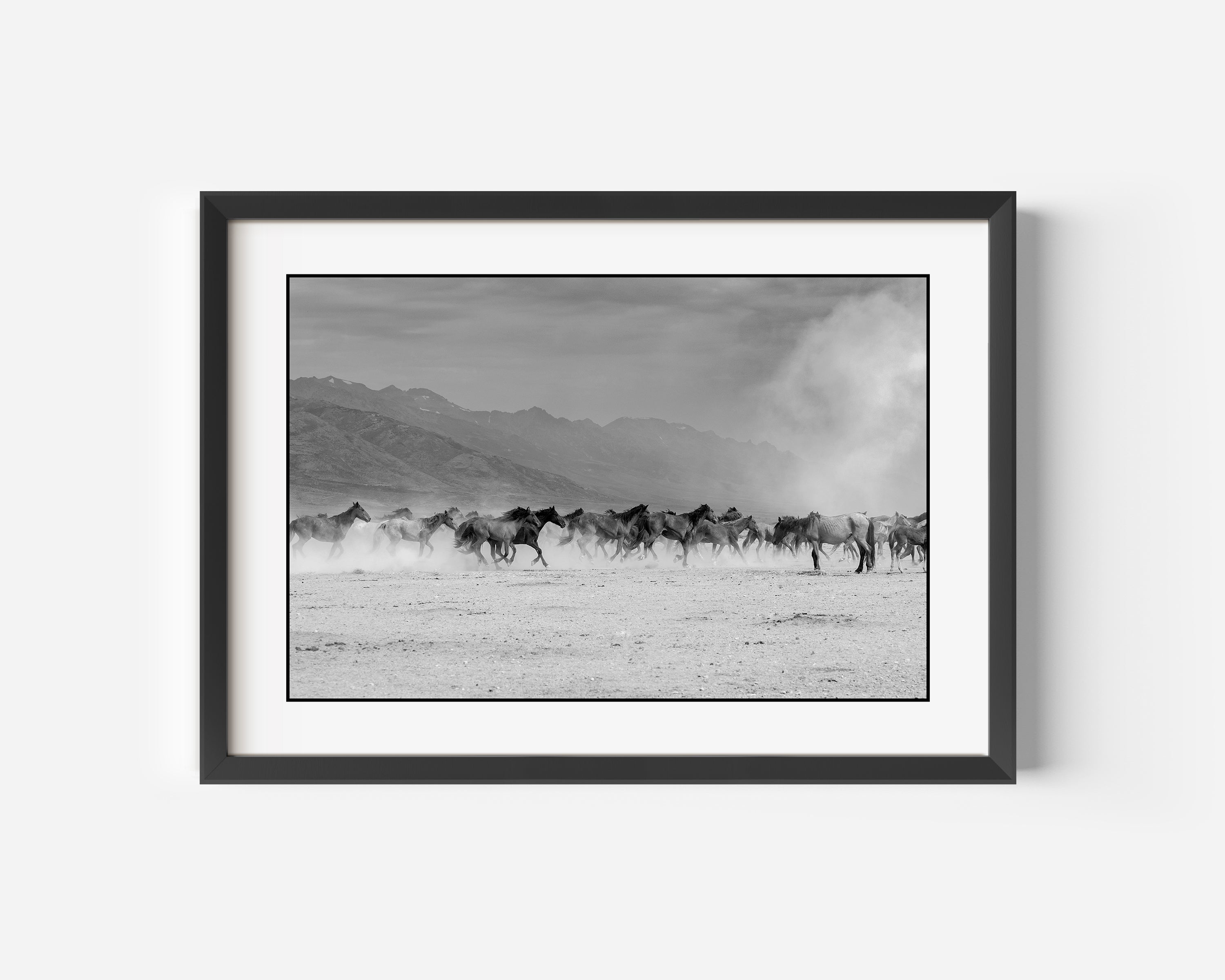 Equestrian Fine Art Black and White Photography Print Wild Mustangs Stampede Across the Open Range in Ruby Valley, Nevada USA